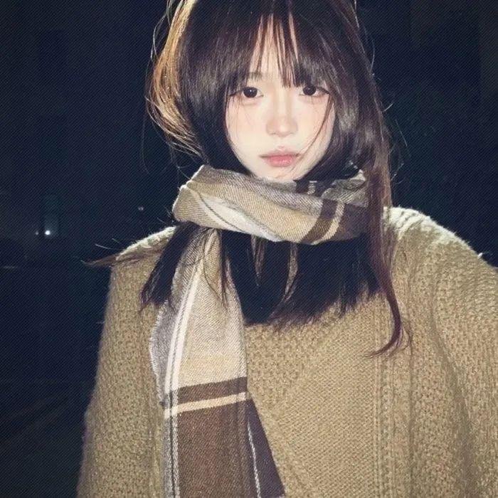 美国豚鼠