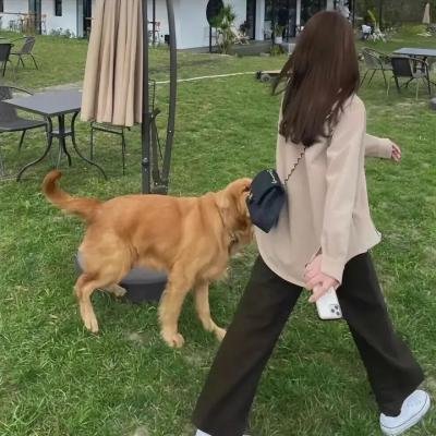 事故故事
